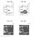 Fig. 06 - Photography apparatus and photography method