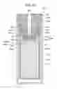 Fig. 11 - CALIBRATOR AND CALIBRATION APPARATUS