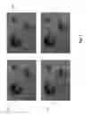 Fig. 08 - Systems and methods for classifying and displaying data