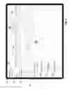 Fig. 10 - Systems and methods for classifying and displaying data