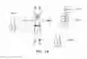 Fig. 16 - Device and method of controlling wearable device