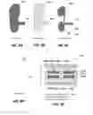 Fig. 09 - MULTI-MODE ACTIVE ORTHOTIC SENSOR