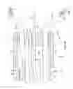 Fig. 08 - Basket catheter with improved spine flexibility