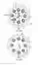 Fig. 09 - Basket catheter with improved spine flexibility