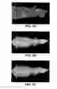 Fig. 06 - APPARATUS AND METHOD FOR MULTI-MODAL IMAGING