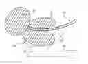 Fig. 01 - METHOD AND SYSTEM FOR LOCALIZING BODY STRUCTURES