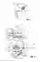 Fig. 02 - METHOD AND SYSTEM FOR LOCALIZING BODY STRUCTURES