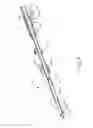 Fig. 07 - Biopsy device