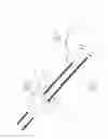 Fig. 05 - Pneumoperitoneum device