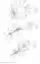 Fig. 26 - Pneumoperitoneum device