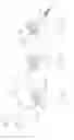 Fig. 27 - Pneumoperitoneum device