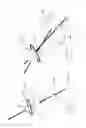 Fig. 41 - Pneumoperitoneum device