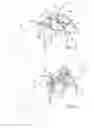 Fig. 07 - Fracture fixation device