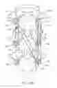 Fig. 13 - Fracture fixation device