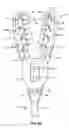 Fig. 07 - DELIVERY DEVICE AND METHOD FOR COMPLIANT TISSUE FASTENERS