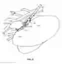 Fig. 12 - DELIVERY DEVICE AND METHOD FOR COMPLIANT TISSUE FASTENERS