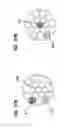 Fig. 67 - Round-flat-round surgical braids