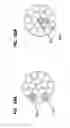 Fig. 69 - Round-flat-round surgical braids