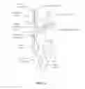 Fig. 04 - Snaring systems and methods