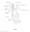 Fig. 07 - Snaring systems and methods
