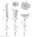 Fig. 03 - METHODS AND SYSTEMS FOR REMOVING TISSUE FROM BODY CAVITIES