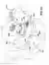 Fig. 84 - METHODS AND DEVICES FOR ANCHORING SPINAL RODS