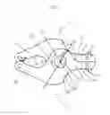Fig. 08 - Interspinous process spacer implant