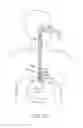 Fig. 11 - Cryogenic treatment systems