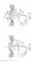 Fig. 16 - Cryogenic treatment systems