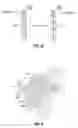 Fig. 04 - System and method for chemically cooling an ablation antenna