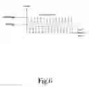 Fig. 06 - System and Method of Managing Portable Laser Therapy Apparatus