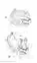 Fig. 04 - Control unit for a medical device