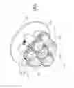 Fig. 20 - Control unit for a medical device