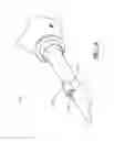 Fig. 04 - SURGICAL TOOL LIGHTS