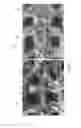 Fig. 04 - Method of producing a polymer matrix