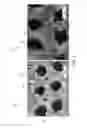 Fig. 05 - Method of producing a polymer matrix