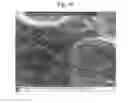 Fig. 12 - Titanium nano-scale etching on an implant surface