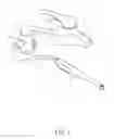 Fig. 02 - Quick connector for oral irrigator