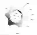 Fig. 09 - Pre-charged prophy angle