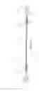 Fig. 03 - ATRAUMATIC MEDICAL DEVICE ANCHORING AND DELIVERY SYSTEM WITH ENHANCED ANCHORING