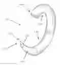 Fig. 01 - Curved surgical fasteners for securing prosthetic devices to tissue