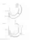 Fig. 10 - Curved surgical fasteners for securing prosthetic devices to tissue