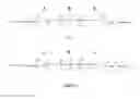 Fig. 04 - BIOMATERIAL