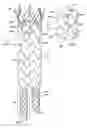 Fig. 01 - Circular Sectional Inserts For Insertion with a Trunk Section in Endoprosthesis for Aortic Aneurysm