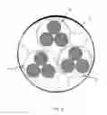 Fig. 04 - Bionic muscle