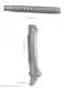 Fig. 07 - Bionic muscle
