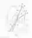 Fig. 02 - TISSUE GRAFT FIXATION