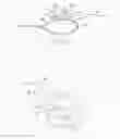 Fig. 06 - TISSUE GRAFT FIXATION