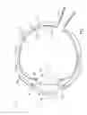 Fig. 02 - Ocular collar stent for treating narrowing of the irideocorneal angle