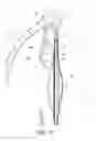 Fig. 09 - Intraocular lens structure